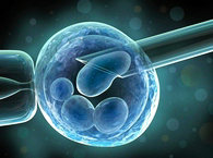 人脂肪干细胞的分离、体外培养